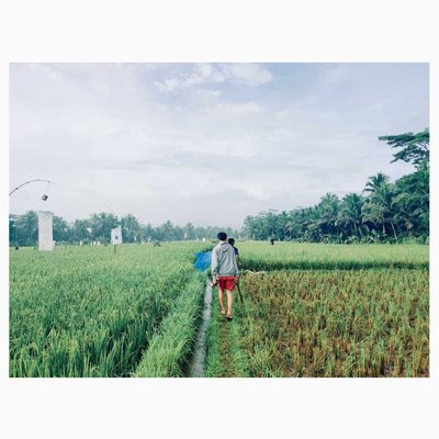 Suasana pagi