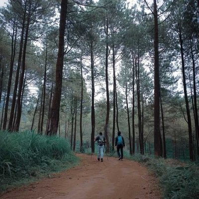 Holiday