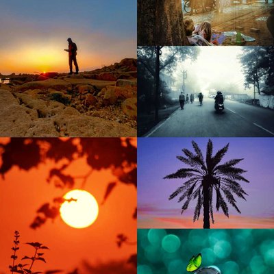 Some nature shots🤍✨