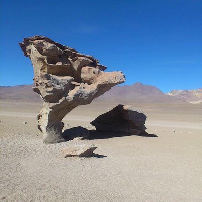 Arbol de piedra en el desierto de siloli 🙌🏻