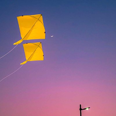 Happy Makar Sankranti to everyone 💕