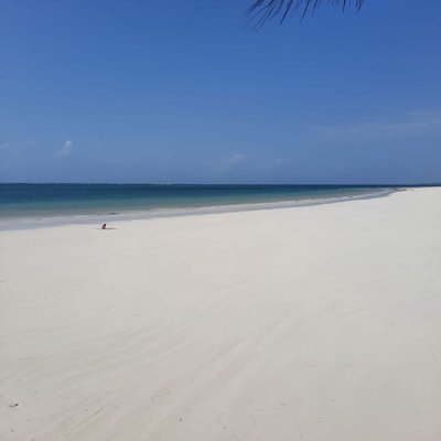 Diani beach 😎 