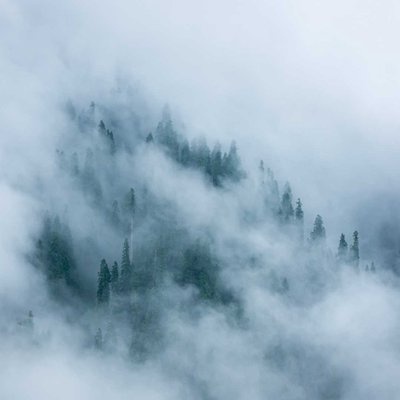Foggy mood
