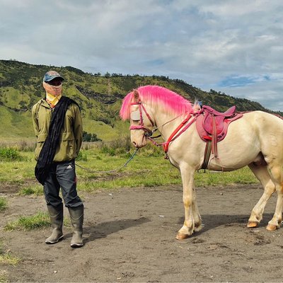 Potret pemandu kuda Bromo