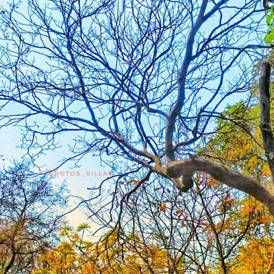 COLOURS OF NATURE