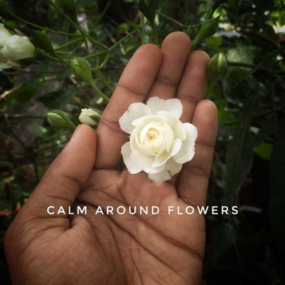 Calm around flowers 