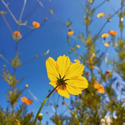 nature 