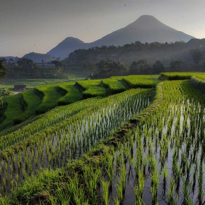 Trawas Mojokerto