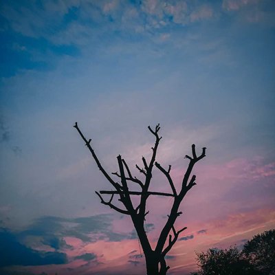 sky 🔅