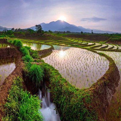 the beauty of the morning with beautiful terraces