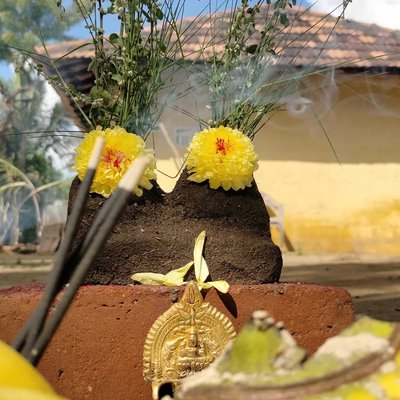 Pongal festival 