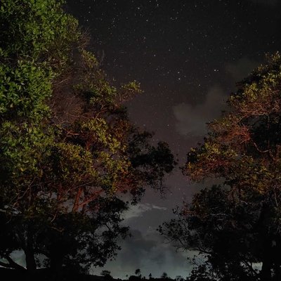 Menikmati Cahaya Malam