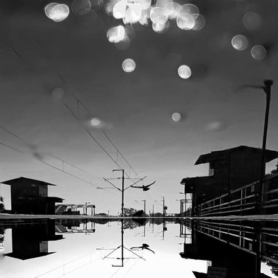 Reflection In Motion