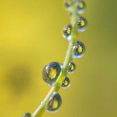 macro photography 📲
