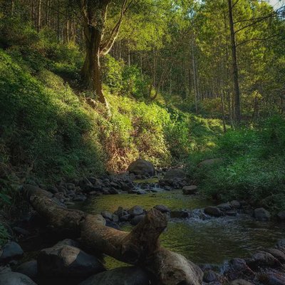 River at Bedengan Camping Ground