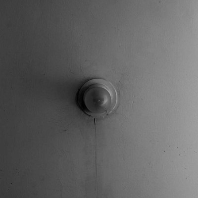 the dim bulb