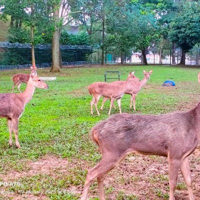 Laman Rusa Putrajaya