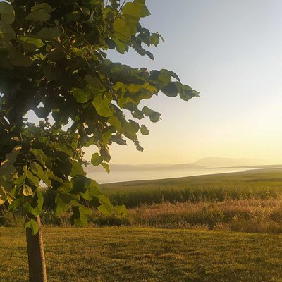 salda lake 
