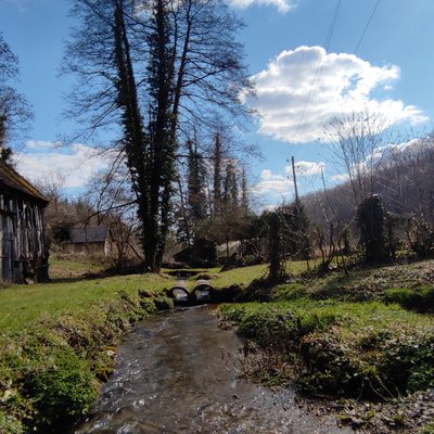 Country side
