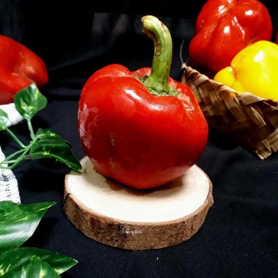 Paprika