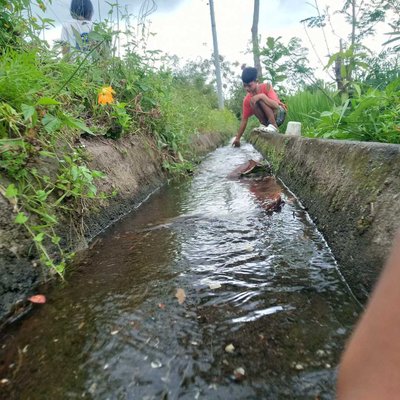 irrigation