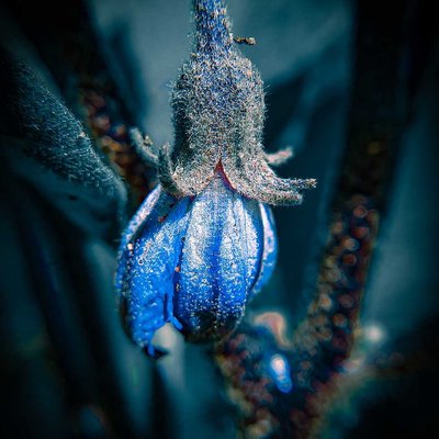 💙✨