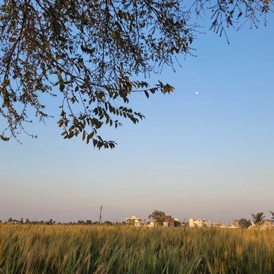 pune evening view 😍