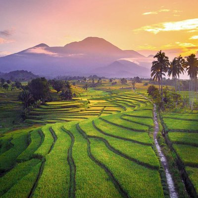 Beauty morning in my village
