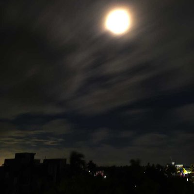 Nature in Night