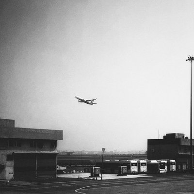 Fly High