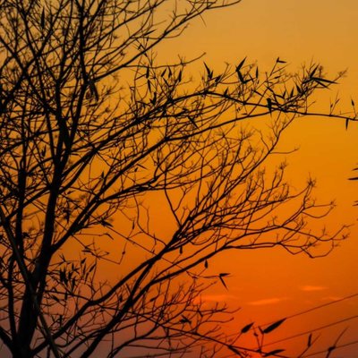 Good evening 🙏 