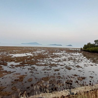 Pagi ini di Pulau ini.