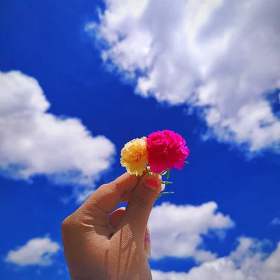 Flowers or Clouds?🌚