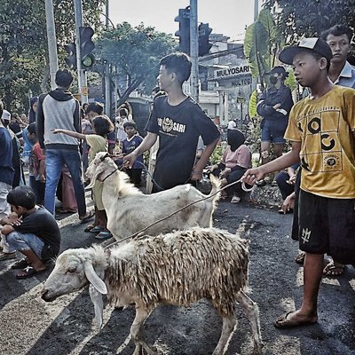 NUANSA IDUL ADHA
