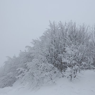 Kartepe, Kocaeli🎿