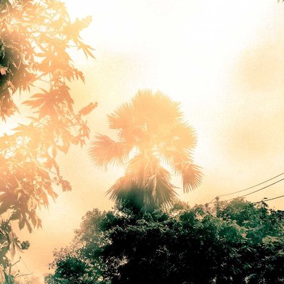 fog 
