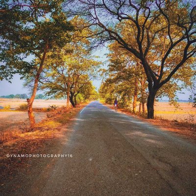 🛣️ Roadside Photography 🛣️