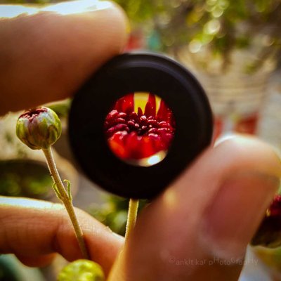 some Bokeh , some creativity