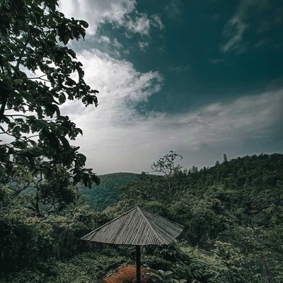 Into The Wild 🏞️