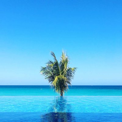 Beautiful blues 