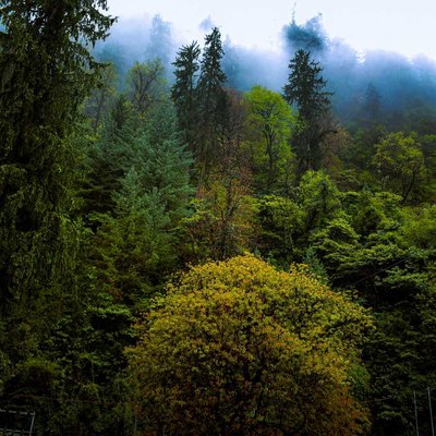 Beautiful Himachal 💚
