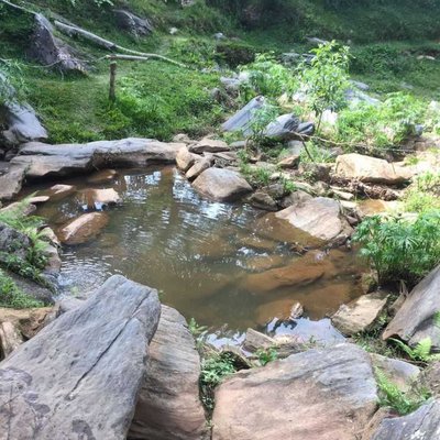 Oasis 