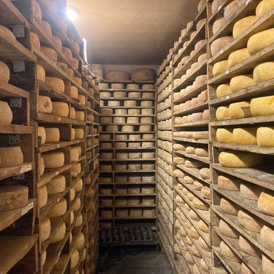 Mazaraat Cheese Factory
