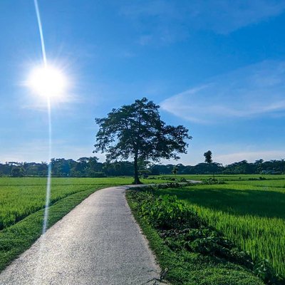 A Sunny Day.