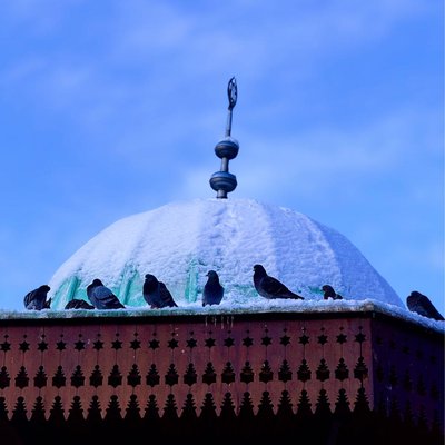 Bursa