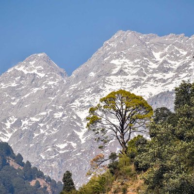 Snow Covered Mountains 