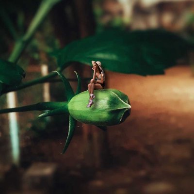 creative photography 
