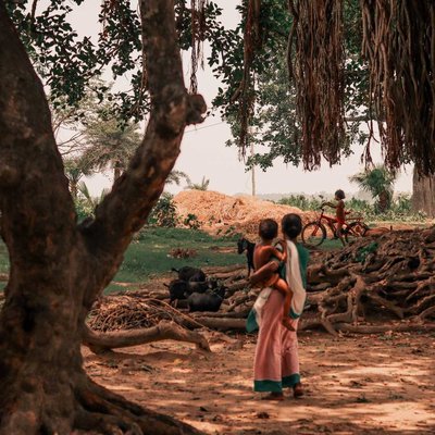 Composition Of Village Life