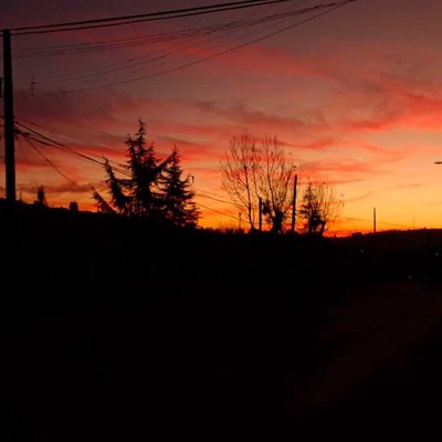 Entre sombras y colores;