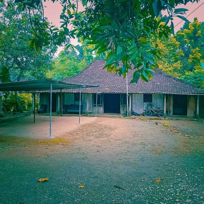 Home Green